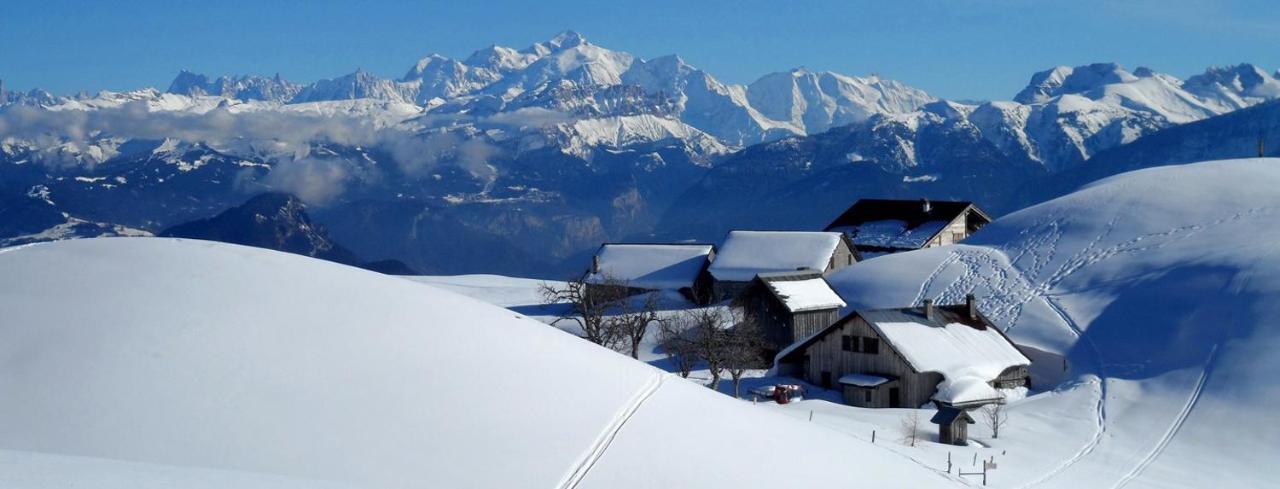 Les Chalets De Ludran Viuz-en-Sallaz Exterior photo